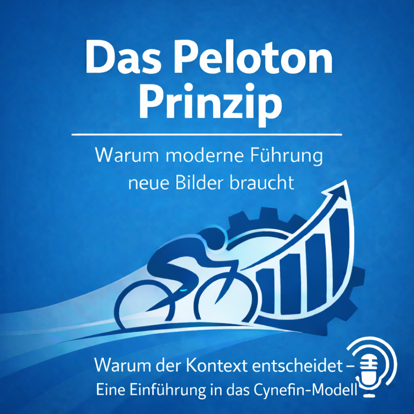 01/X1 – Warum der Kontext entscheidet – eine Einführung in das Cynefin-Modell
